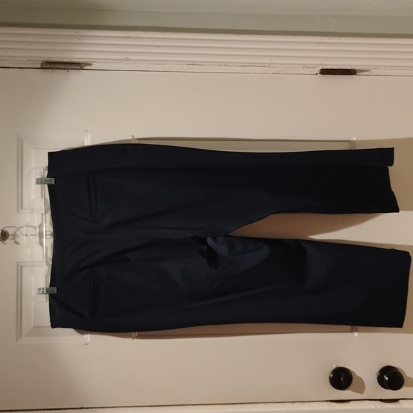 Navy blue tortoiseshell button, size 14 Ann Taylor crop slacks - Picture 2 of 5